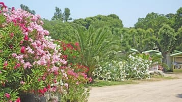 Jardín