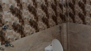 A bathroom with a toilet, a shower, and a tiled wall with a checkered pattern. - Krazy Hotel (Haldwani)