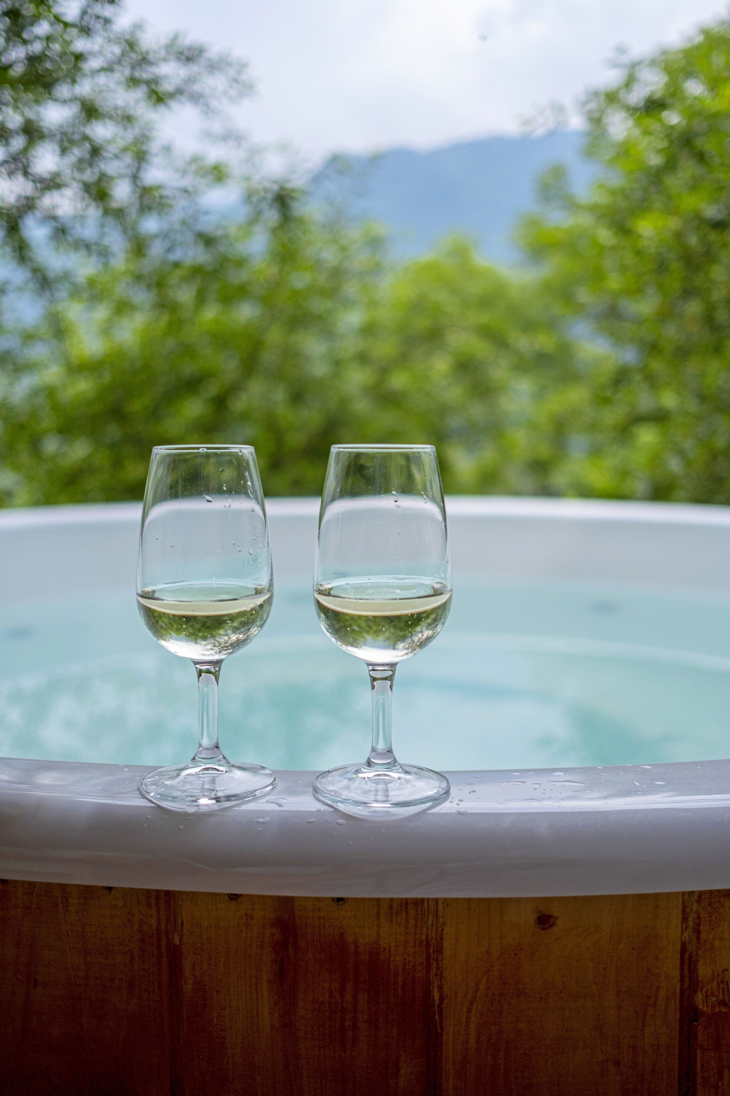 Dos copas de vino blanco sobre un repisa de madera, con una piscina y follaje al fondo.