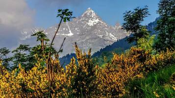 Un paisaje montañoso con un pico destacado, rodeado de vegetación exuberante y flores amarillas.