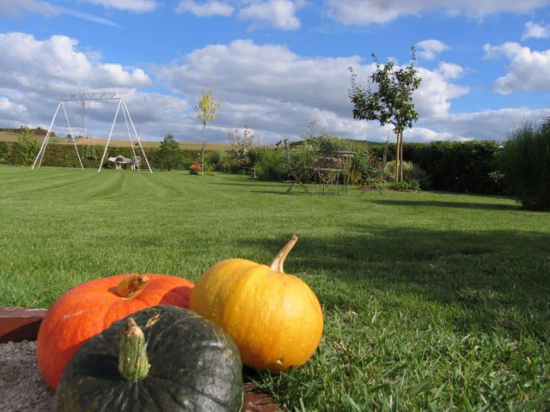 Une pelouse verdoyante avec trois citrouilles et, au fond, un ensemble de jeux pour enfants avec une balançoire.