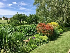Jardin