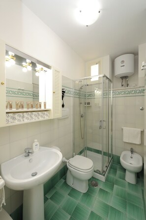 Shower, hair dryer, bidet, towels