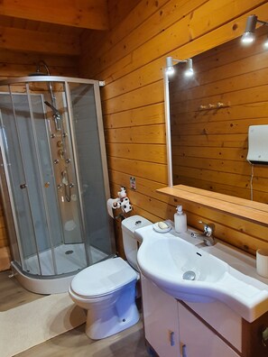 Shower, hair dryer