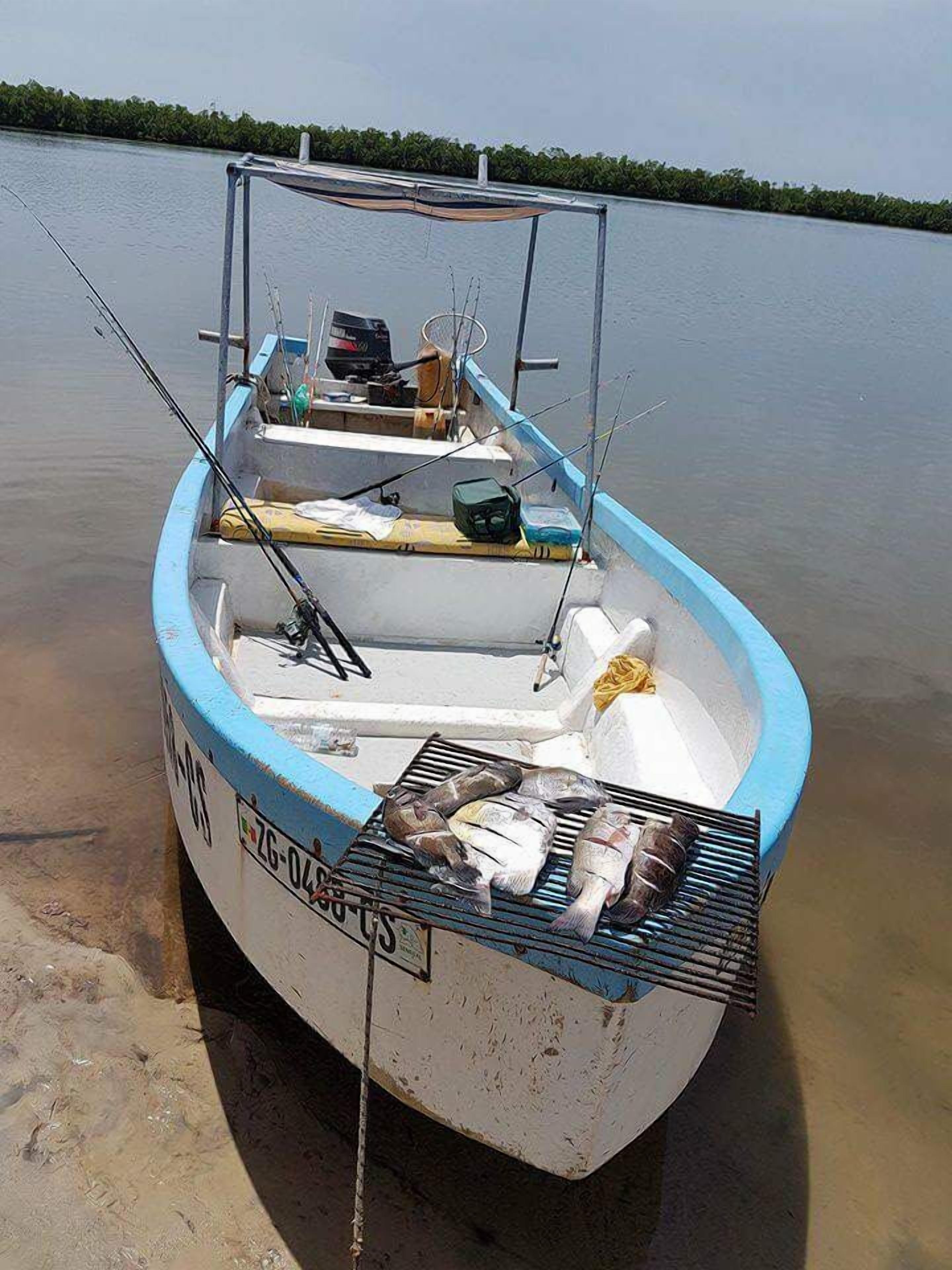 Pesca