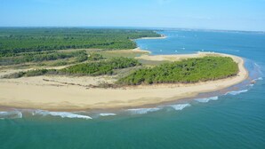 Eine Vogelperspektive auf eine Küstenlandschaft mit Sandstrand, dichtem Grünland und einem klaren blauen Meer.