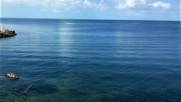 Premium Studio, Balcony, Sea View | Beach/ocean view