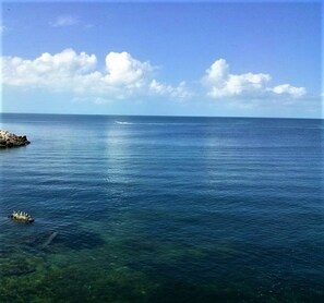 Premium Studio, Balcony, Sea View | Beach/ocean view