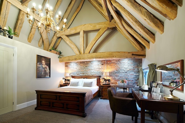 Standard Room, 1 King Bed, Non Smoking (Theme Room) | Hypo-allergenic bedding, desk, laptop workspace, iron/ironing board