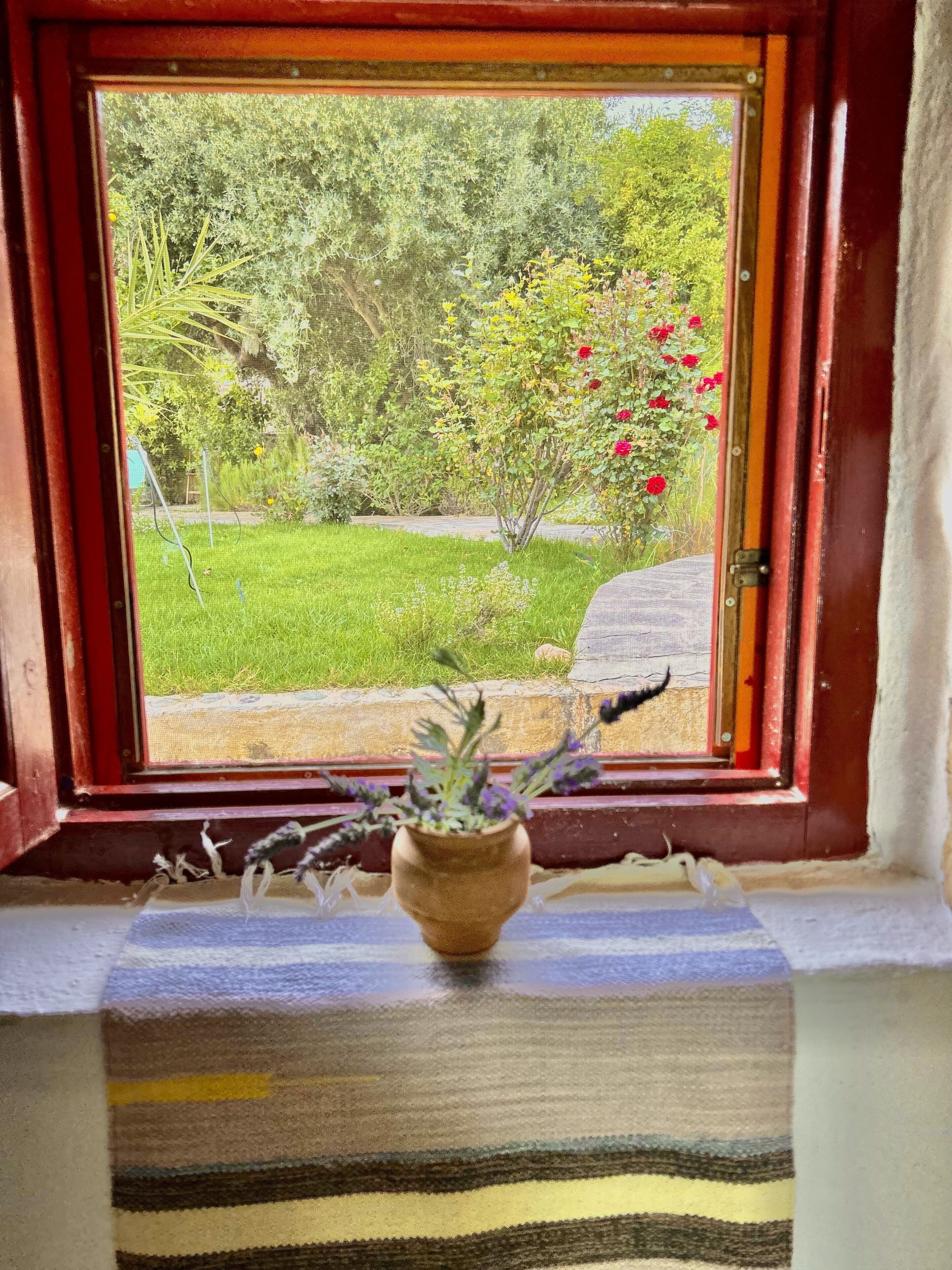 A window with a view of a garden, a potted plant on a window sill, and a striped fabric below the window.