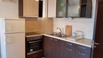 Luxury Apartment | Private kitchen | Fridge, microwave, oven, stovetop