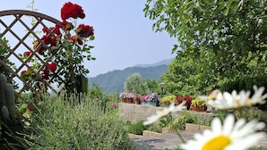 A garden pathway with various flowers and plants, a wooden lattice structure, and a view of distant hills. - Teresa Appartamento Vista (Tremosine)