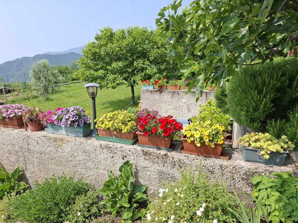 Property grounds - Teresa Appartamento Vista (Tremosine)