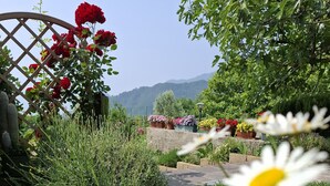 A garden pathway with various flowers and plants, a wooden lattice structure, and a view of distant hills. - Teresa Attico Vista (Tremosine)