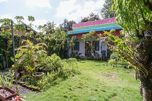 标准房 | 花园景观