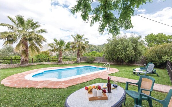 A backyard with a swimming pool, surrounded by palm trees and a grassy area with outdoor furniture.