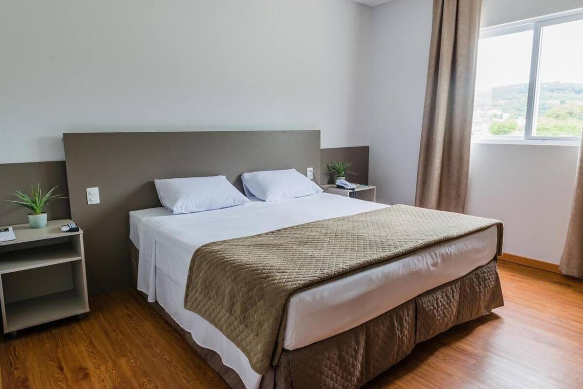 A neatly arranged hotel room with a large bed, bedside tables, a potted plant, and a window with a view.