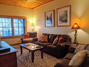 TV connectée, cheminée, lecteur de DVD, livres