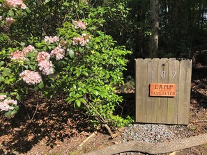 Photo non classée, 5 sur 34, bouton