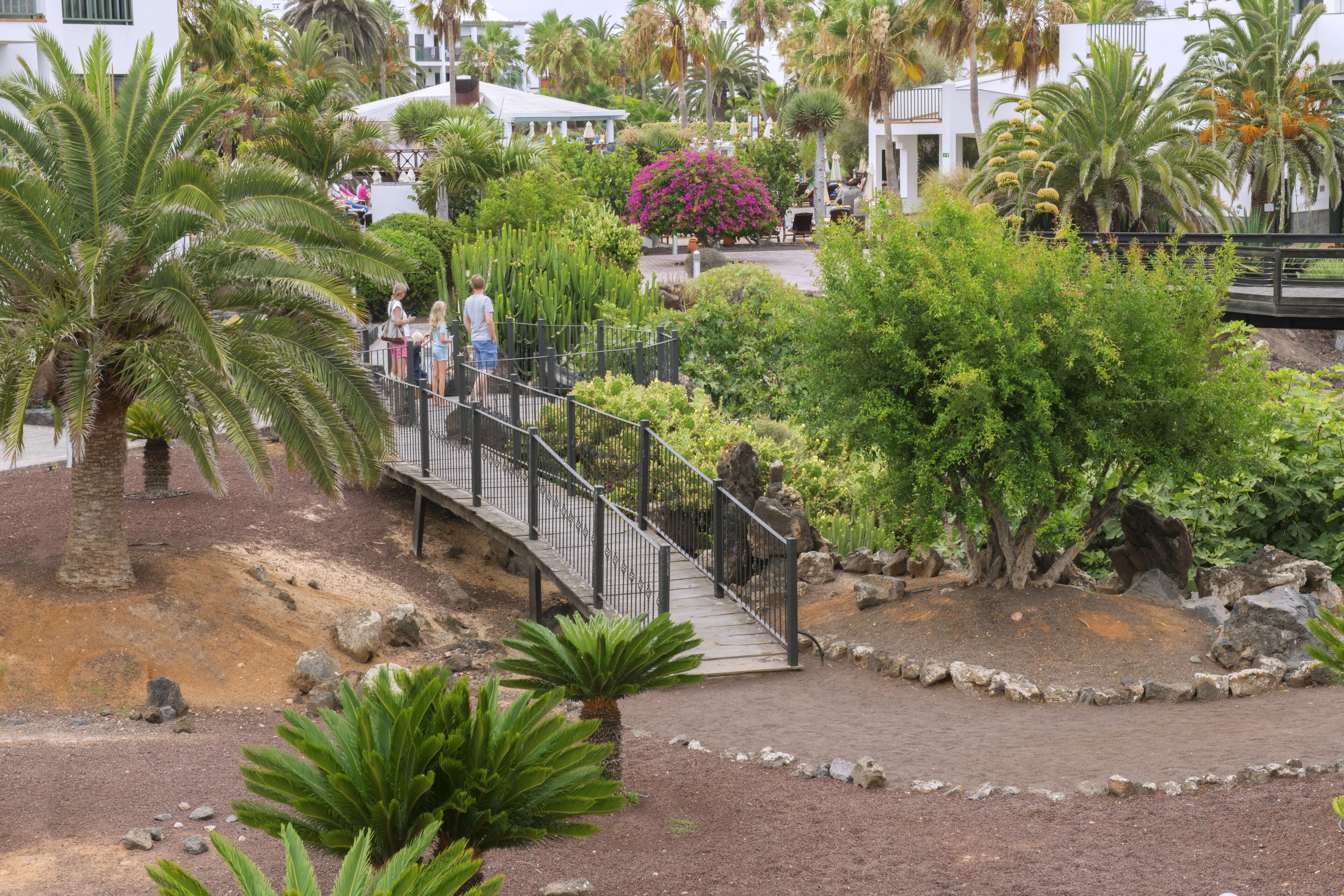 Foto - Las Marismas de Corralejo
