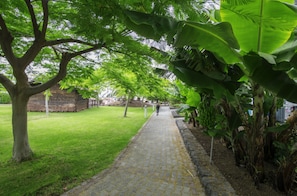 Garden - Las Marismas De Corralejo (La Oliva)