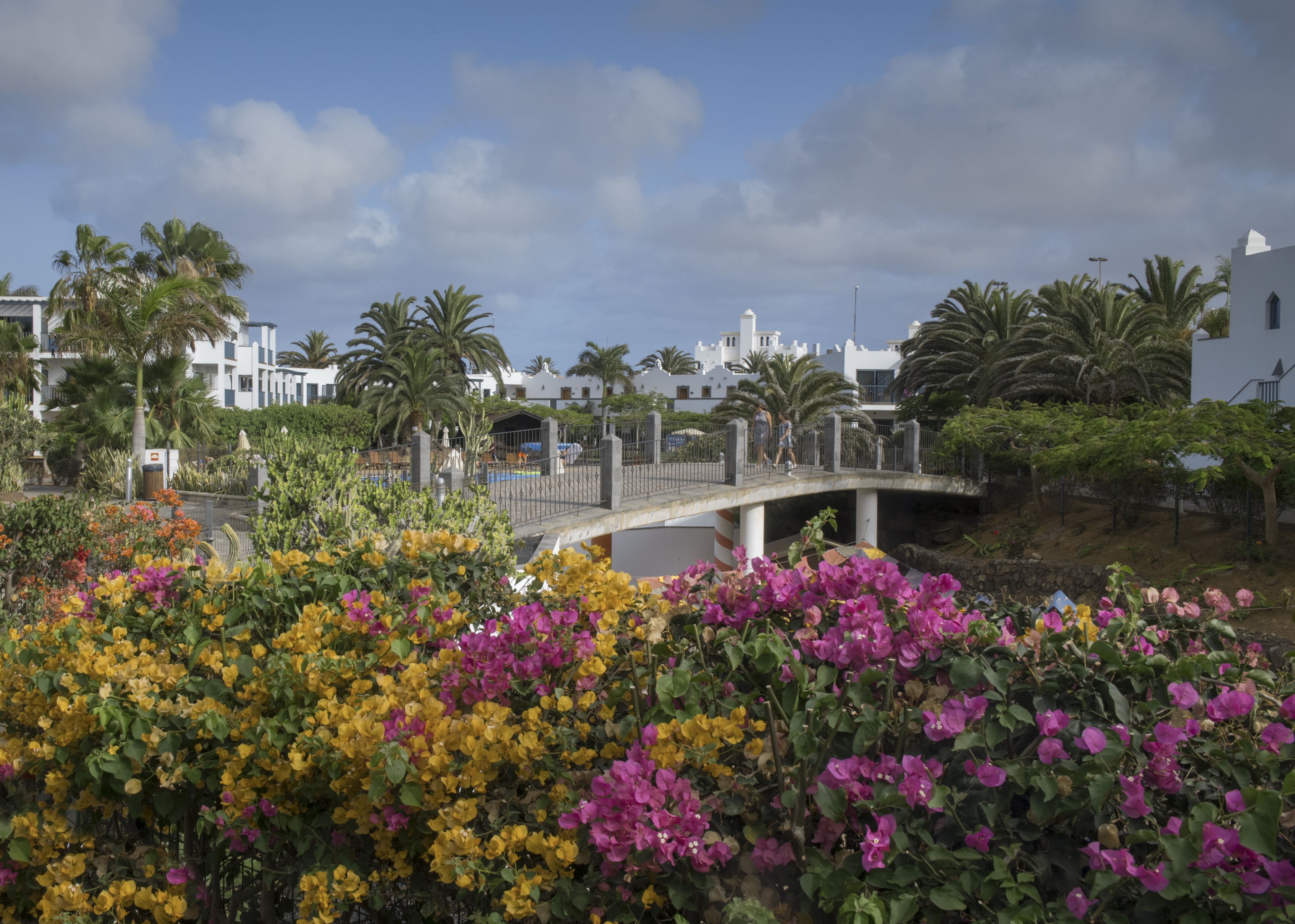 Foto - Las Marismas de Corralejo