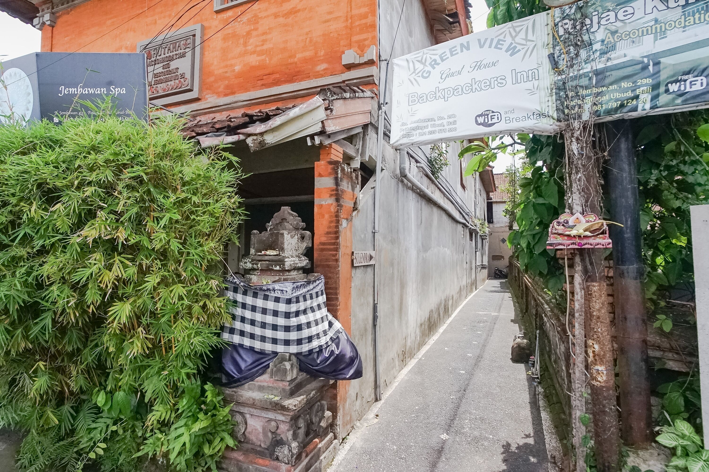 Photo - Green View Ubud Hostel Bali