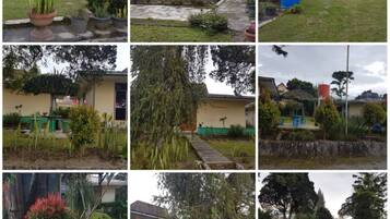 A series of outdoor scenes with various plants, a satellite dish, and a blue structure.