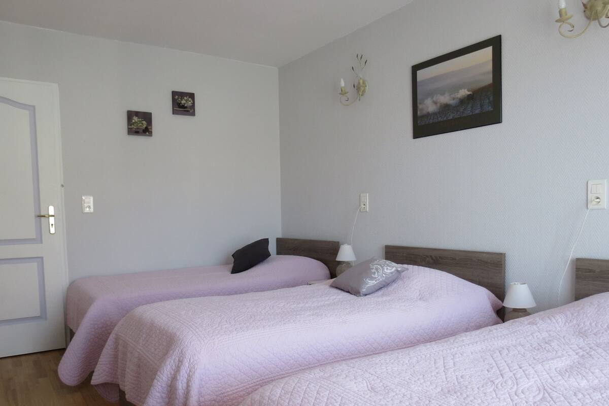 Un dormitorio con dos camas individuales, una puerta y un cuadro colgado en la pared.