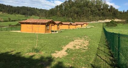 Puutalo 1, Satia Berri