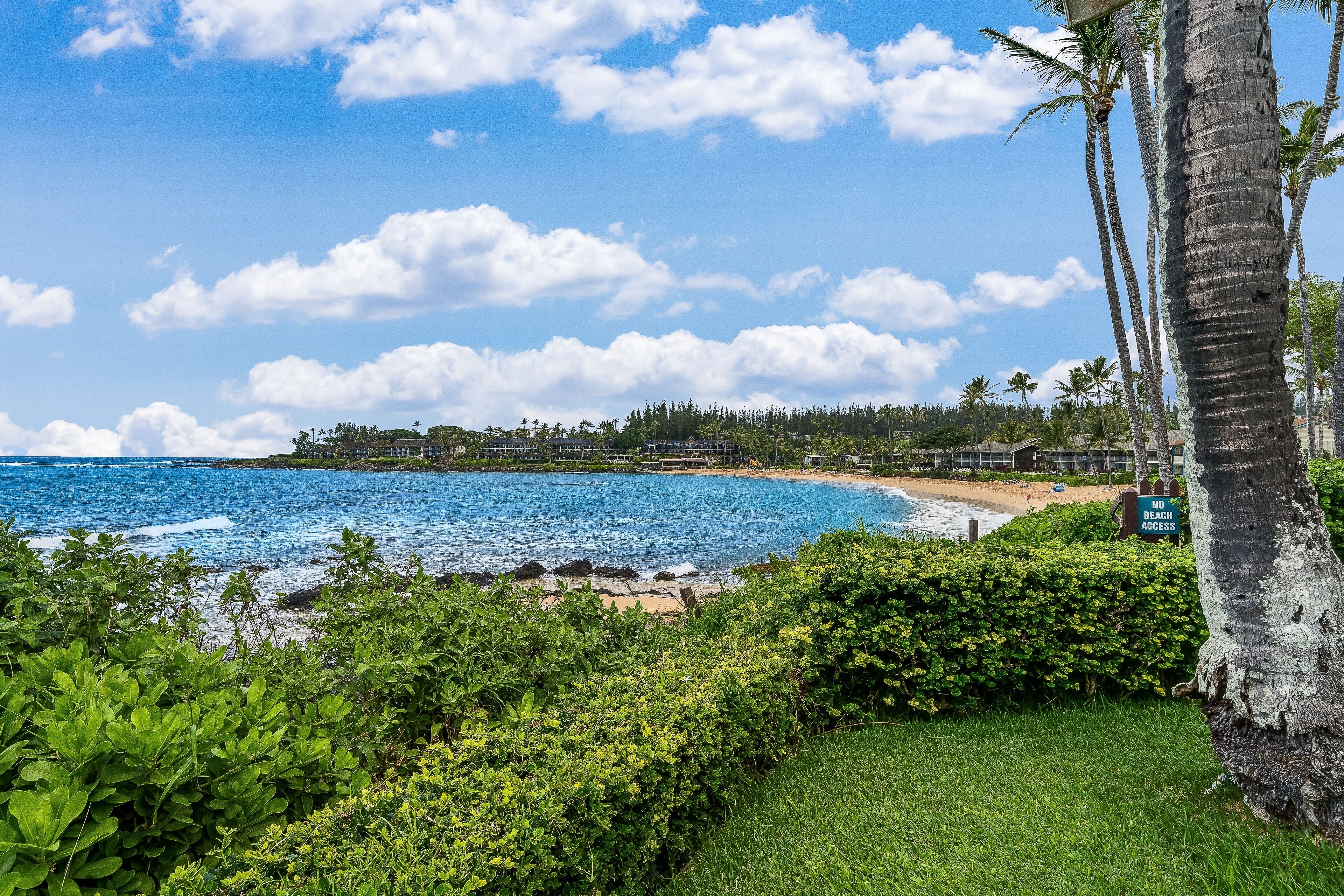 A beach view with a sign indicating no beach access, surrounded by lush greenery and palm trees.