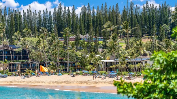 A beachfront hotel with multiple buildings, a sandy beach, and dense tropical trees.