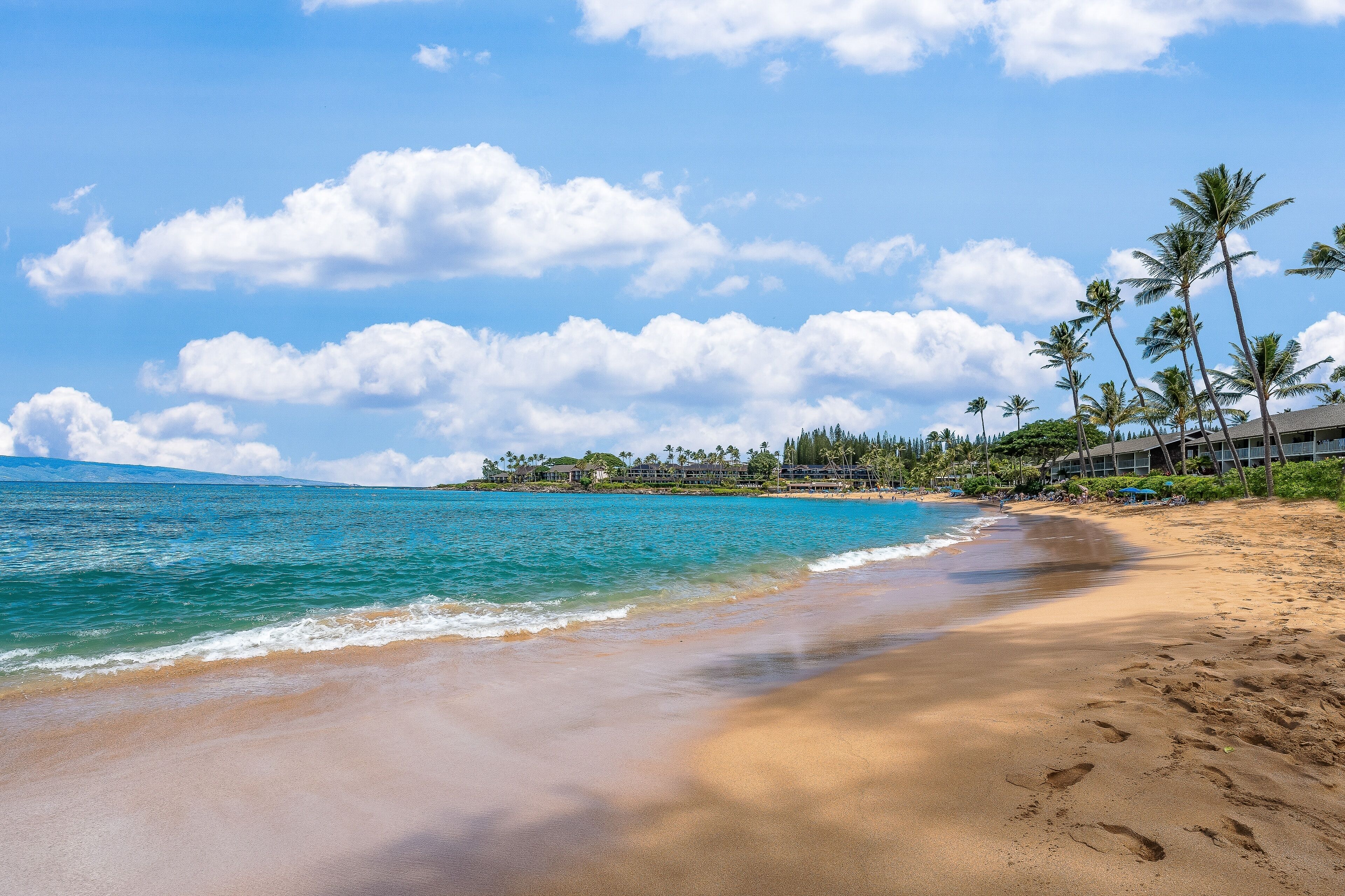 A beach with clear turquoise water, a sandy shore, and palm trees.