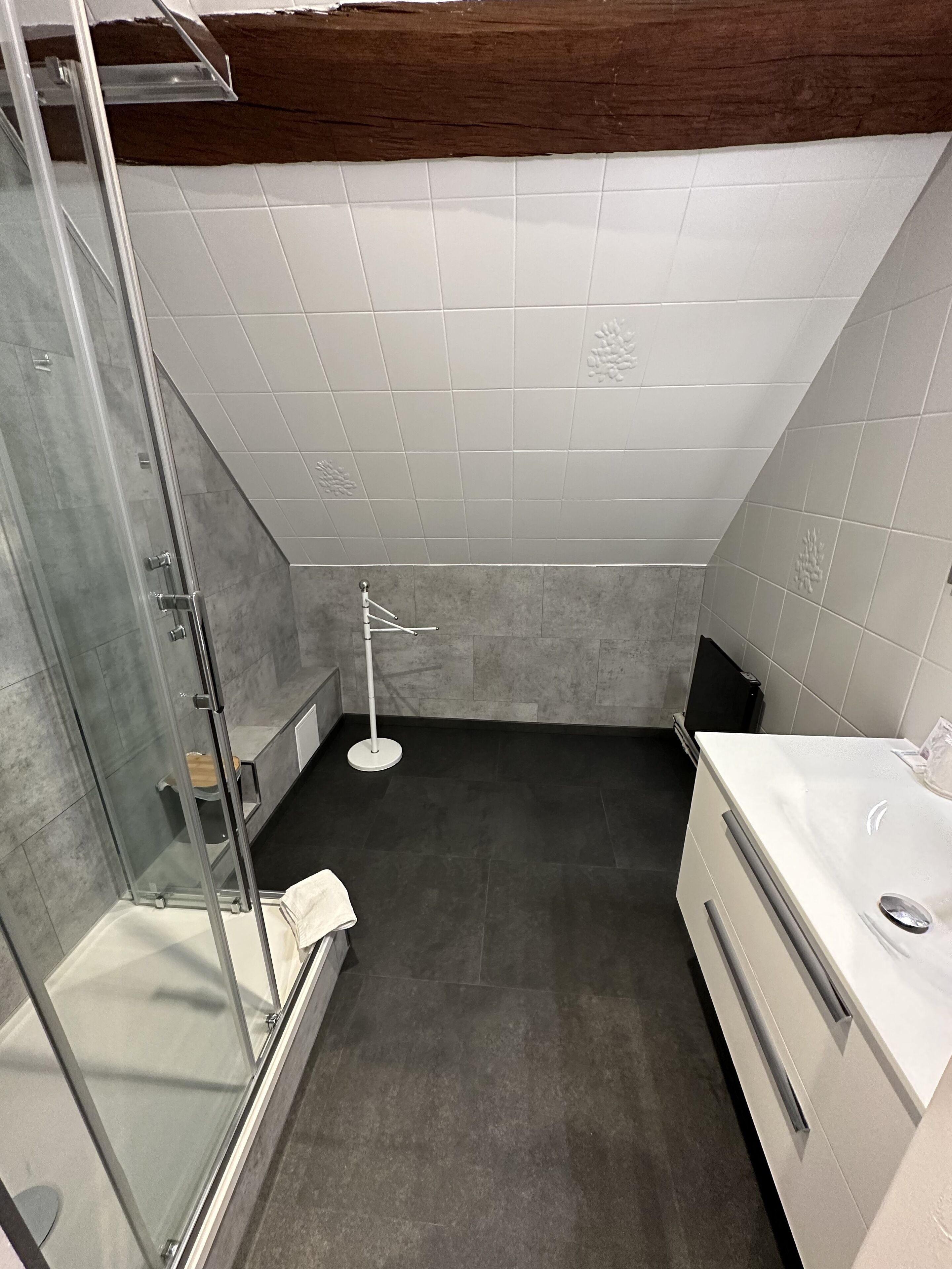 Une salle de bain moderne avec une douche à l’italienne en verre, un lavabo blanc et un sol foncé.