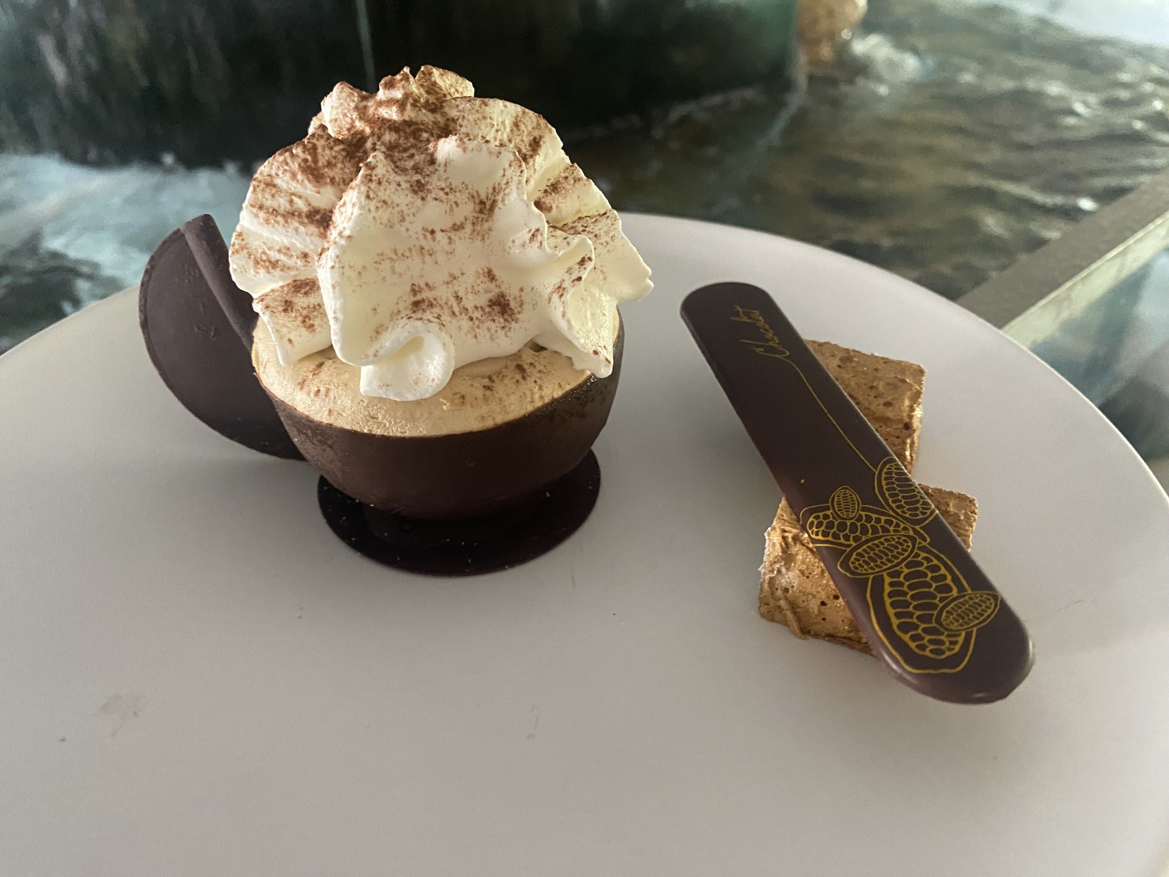 Sobremesa com chantilly e chocolate num prato.