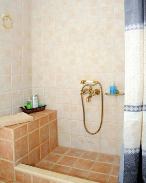 Shower, hair dryer, towels