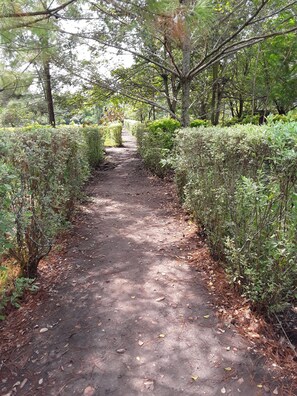 Terrace/patio - Mbara Safari Lodge and Resort (Kasese)