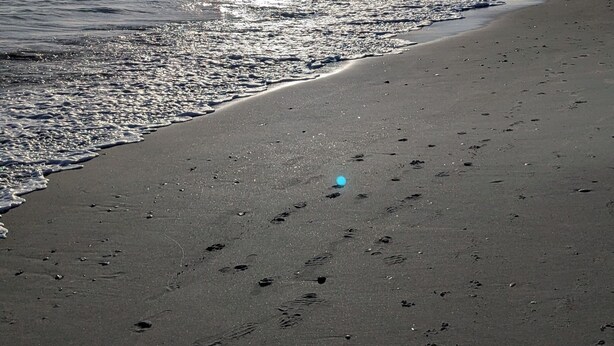 A beach with footprints and a boat in the distance. - Ocean View, large deck, private, nearby beach access  (Pine Knoll Shores)
