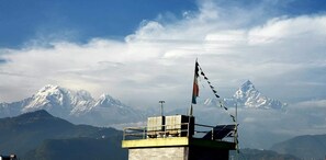 Unclassified image, 3 of 13, button