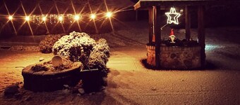 Apartment in the beautiful biosphere reserve on Rügen