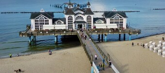 Living under "thatch" Family-friendly, dogs allowed, garden+large open space