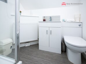 Bathroom - Quirky Studio Apartment (Reading)