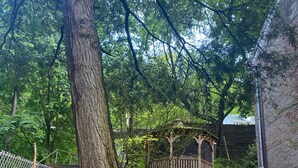 A garden with a wooden pergola, lush greenery, and pink flowers. - Däs Barenhaus on Broadway (4 Master Bedrooms) (Jim Thorpe)