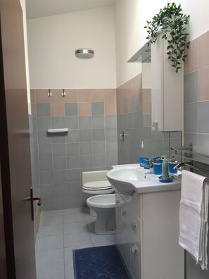 Shower, hair dryer, bidet, towels