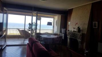 Télévision, cheminée, jeux vidéo, livres