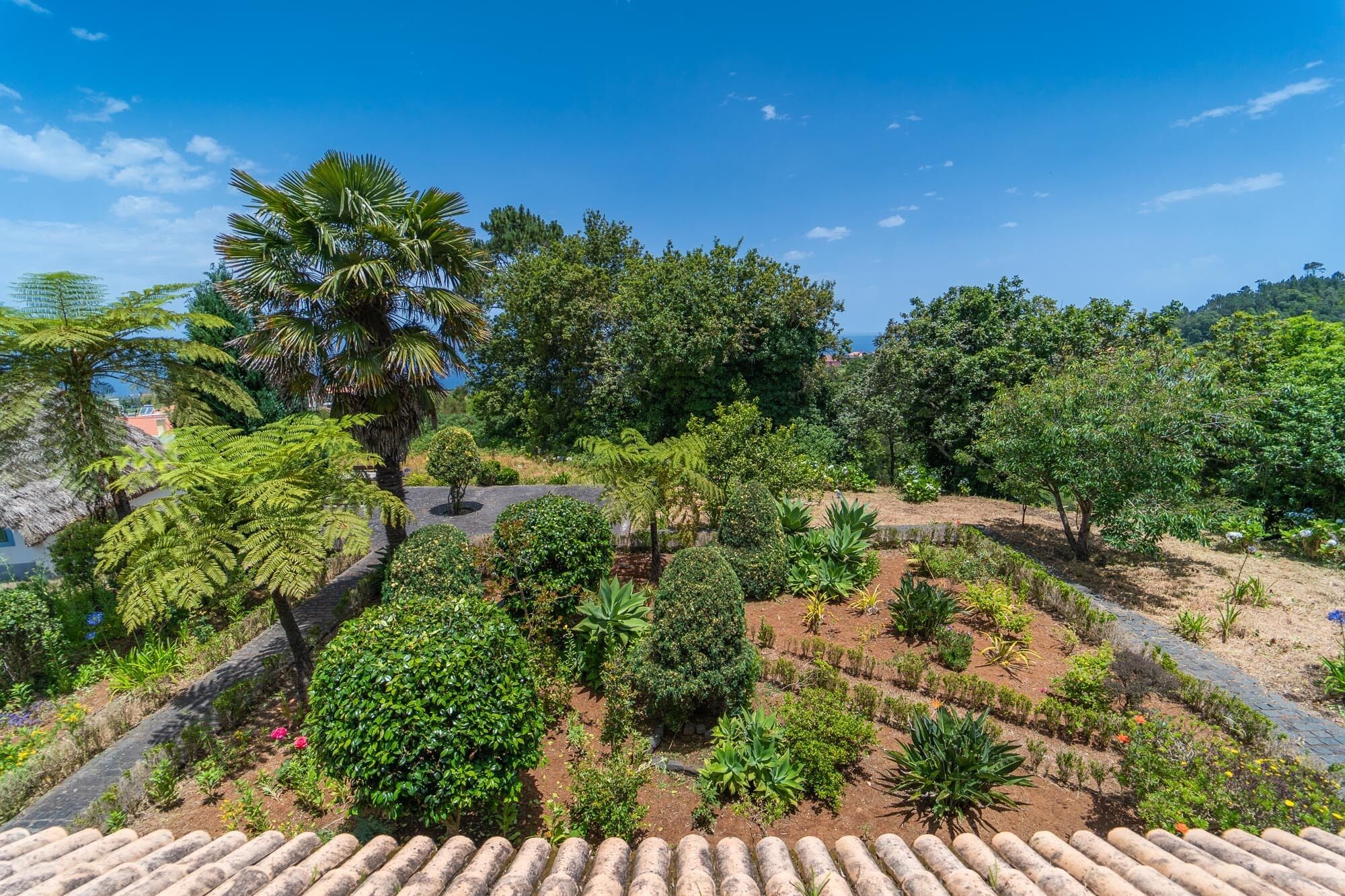 Photo - Casa da Tia Clementina