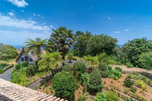 Property grounds - Casa da Tia Clementina (Santana)