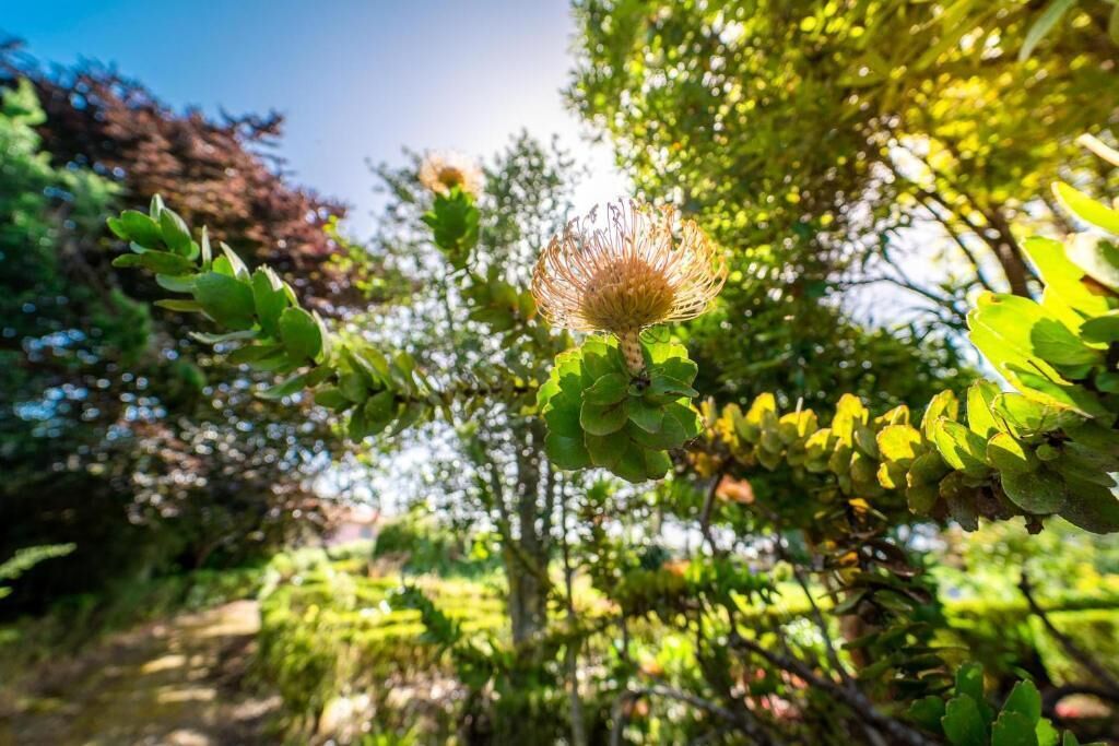 Photo - Casa da Tia Clementina