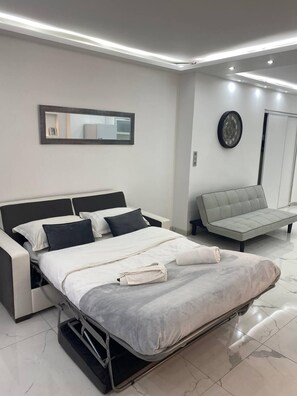 舒适公寓 | 起居区 | 55-英寸纯平电视（配备有线频道）、电视、Netflix