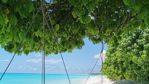 Interior entrance - Village Hideaways & Spas (Fulhadhoo)